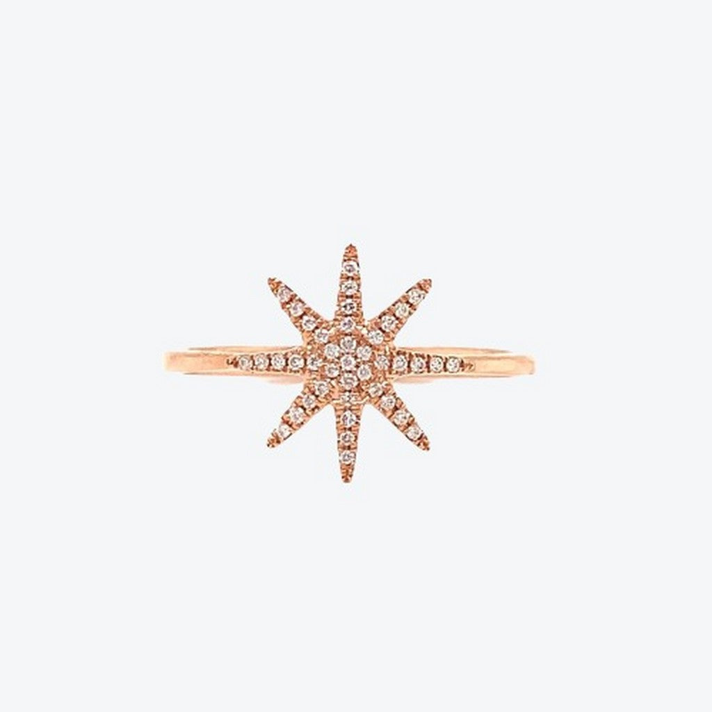 Signature Star Rose