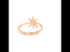 Signature Star Rose