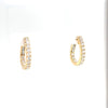 Diamond Oval Hoops