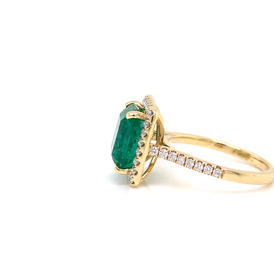 Emerald Emperor