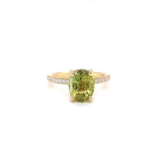 Olive Sparkle