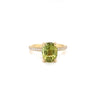 Olive Sparkle