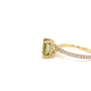 Olive Sparkle