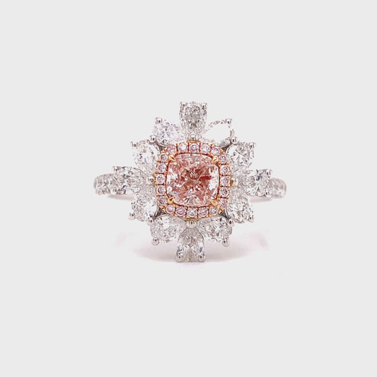 Pink Desire