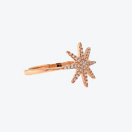 Signature Star Rose
